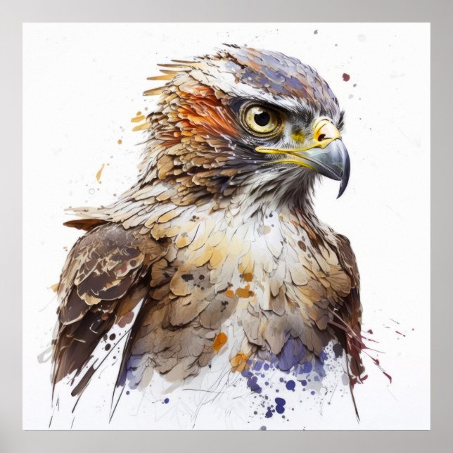 Poster Falcon Bird Portrait Animal Peinture Faune Libre (Devant)
