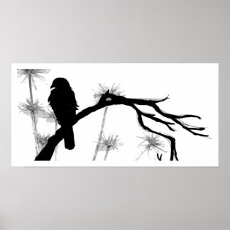 Poster Falcon d'Eleonora