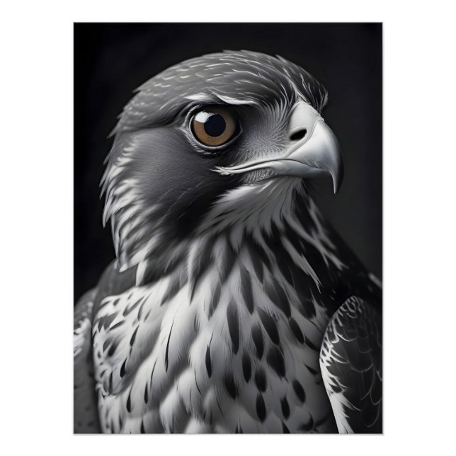 Poster Falcon Wildlife Majestic Nature Life Wallpaper (Devant)