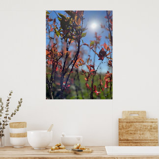 Poster Fall