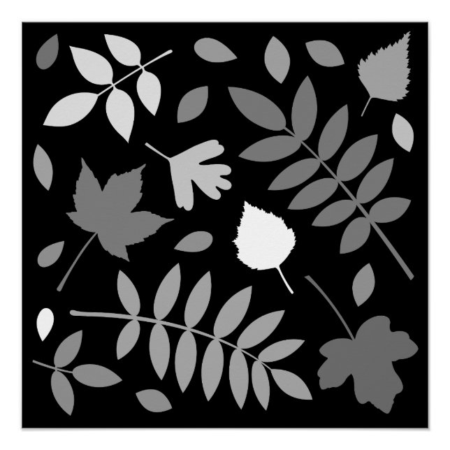Poster Fallen Feuille Design Gris Blanc Noir (Devant)