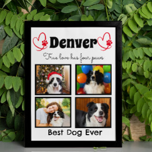 Poster Famille 4 photo collage de chien customisé