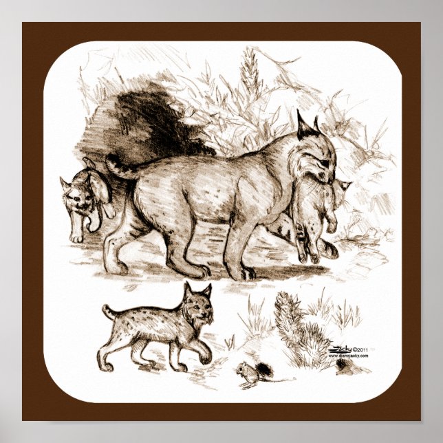 Poster Famille Bobcat (Devant)