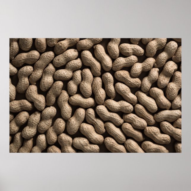Poster Famille d'arachide (Devant)