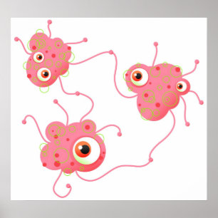 Poster Famille de bactéries