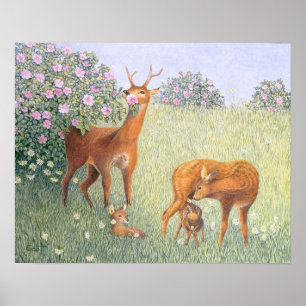 Poster Famille de cerfs communs