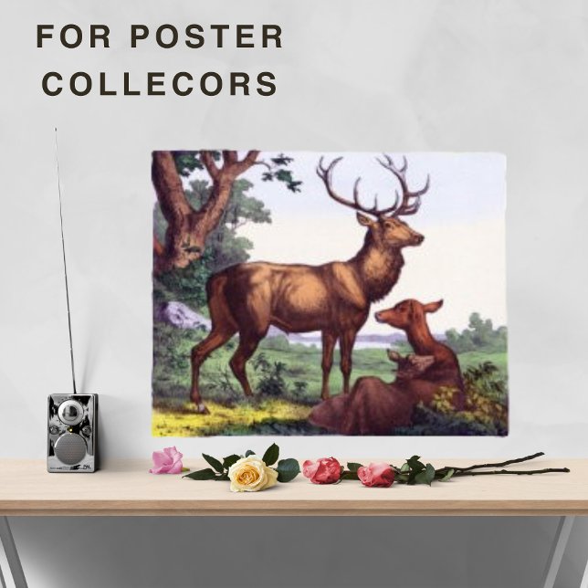 Poster Famille de cerfs Vintage (Créateur téléchargé)