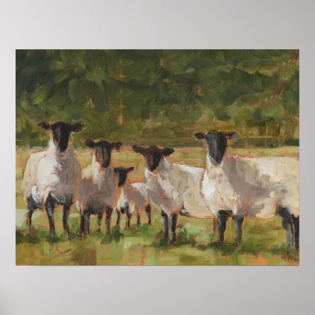 Poster Famille de moutons (Devant)