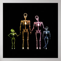 Famille de squelettes X-Ray - Multicolor 4