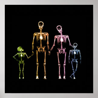 Poster Famille de squelettes X-Ray - Multicolor 4