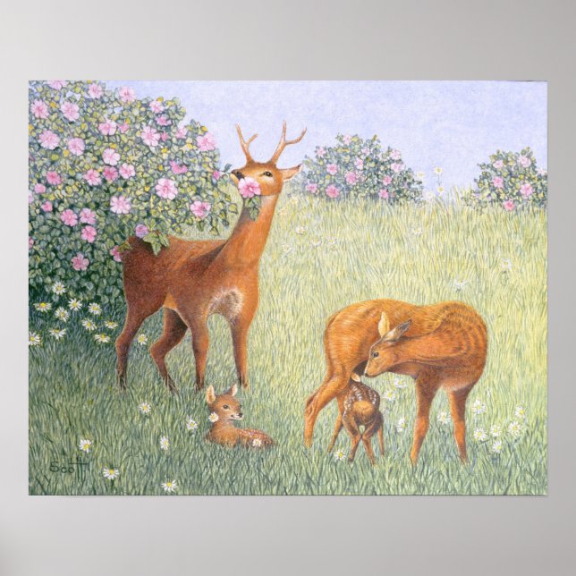 Poster Famille des cerfs (Devant)