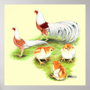 Poster Famille des épaules rouges de Yokohama