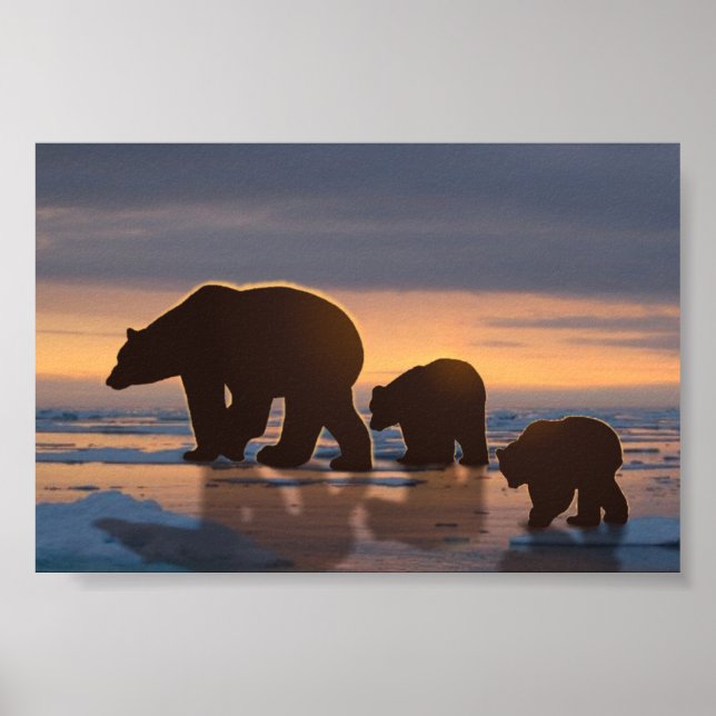 Poster Famille d'ours polaires (Devant)