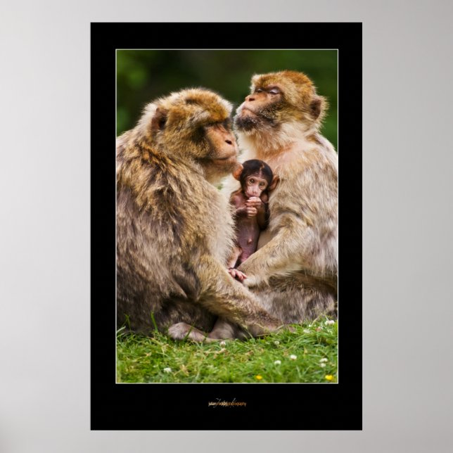 Poster Famille Monkey (Devant)