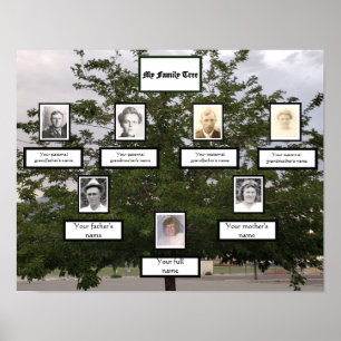 Poster Family Tree 3 Generation Photo Names Summertime