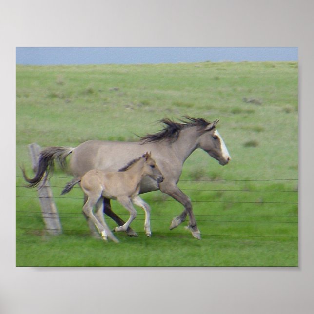 Poster FamilyRun (Devant)