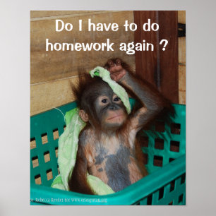 Poster Fantaisie avec bébé Orangutan