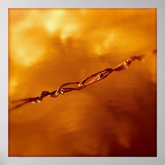 Poster Fantasia fil en Orange (Devant)