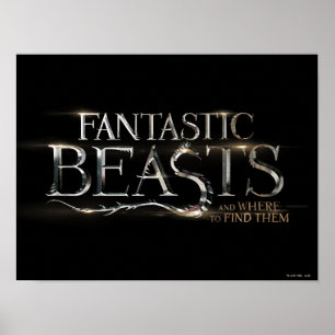 POSTER FANTASTIQUE BEASTS ET WHERE TO FIND THEM™