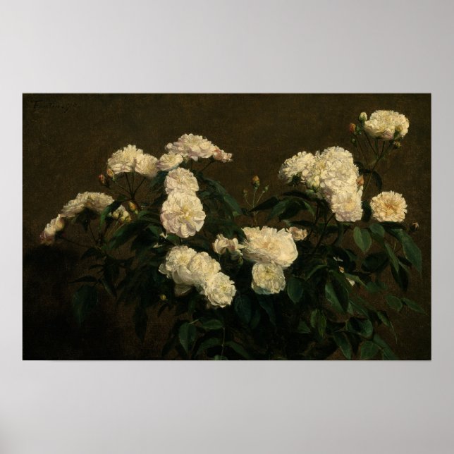 Poster Fantin-Latour - Vie Toujours Vie Des Roses Blanche (Devant)