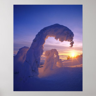 Poster Fantômes de neige dans la chaîne Whitefish du Mont