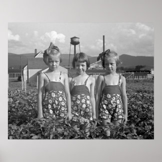 Poster Farm Girls, 1939. Photo vintage