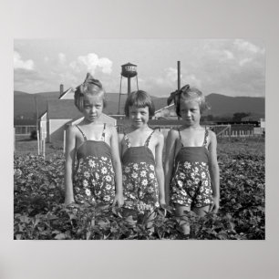 Poster Farm Girls, 1939. Vintage Photo