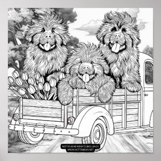 Poster Farm truck Newfoundland Puppies with tulips