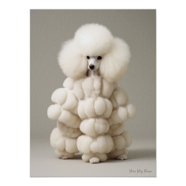 Poster Fashion Show, Poodle Dog 02 - Jonathan Bonheur (Devant)