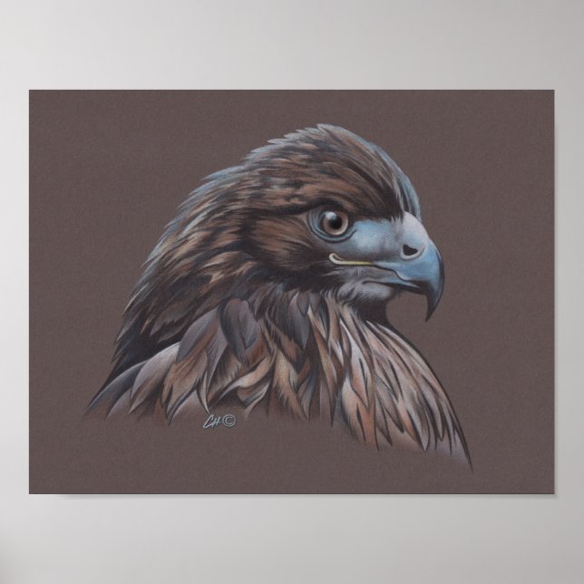 Poster Faucon (Devant)