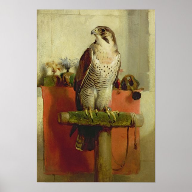 Poster Faucon, 1837 (Devant)