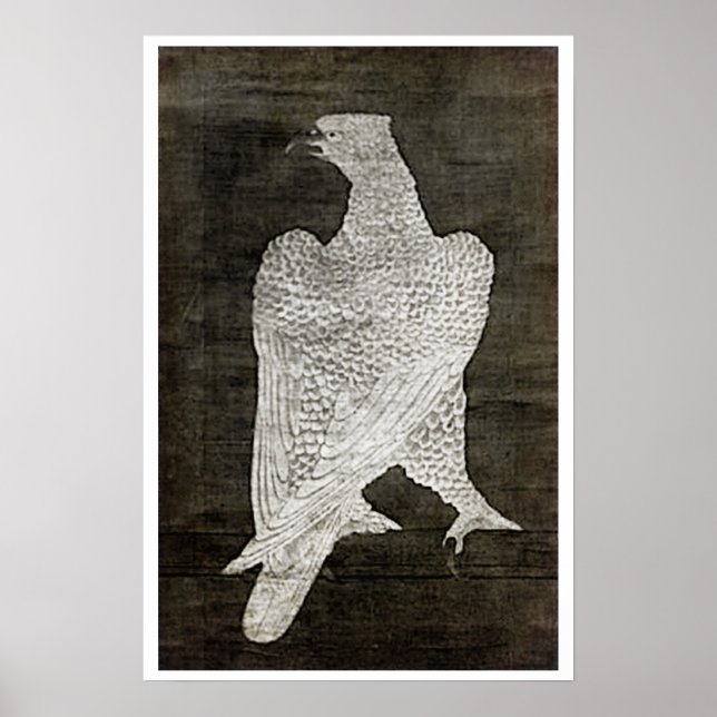 Poster Faucon blanc - 1644 (Devant)