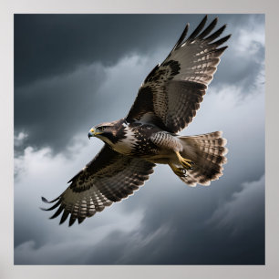 Poster Faucon majestueux s'élevant dans les nuages d'orag