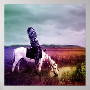 Poster Faucon rouge à une oasis dans les bad-lands