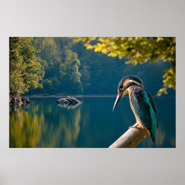 Poster Faune (Devant)