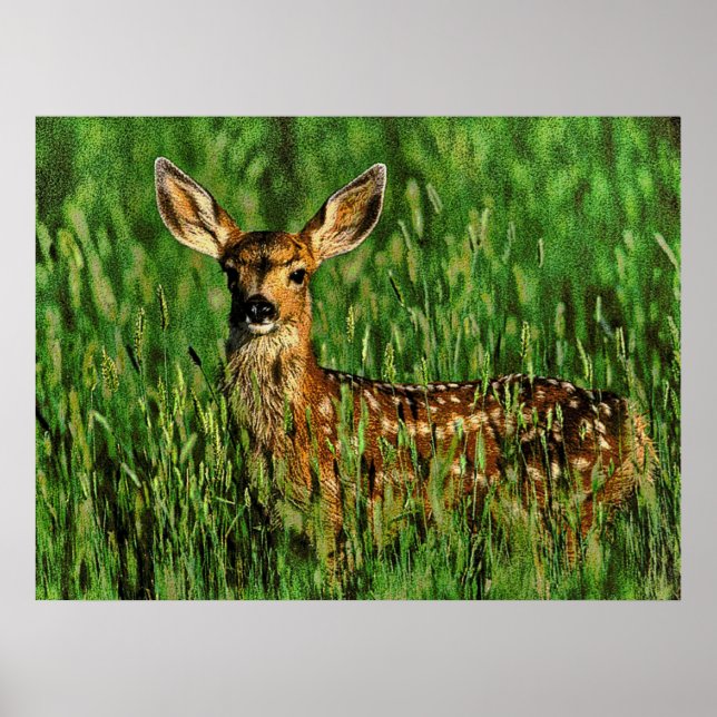 Poster Faune 11 bumped (Devant)