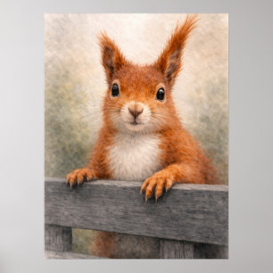 Poster Faune forestière écureuil roux