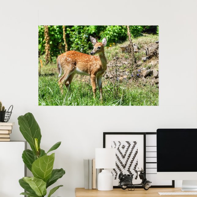 Poster Faune localisée (Bureau à domicile)