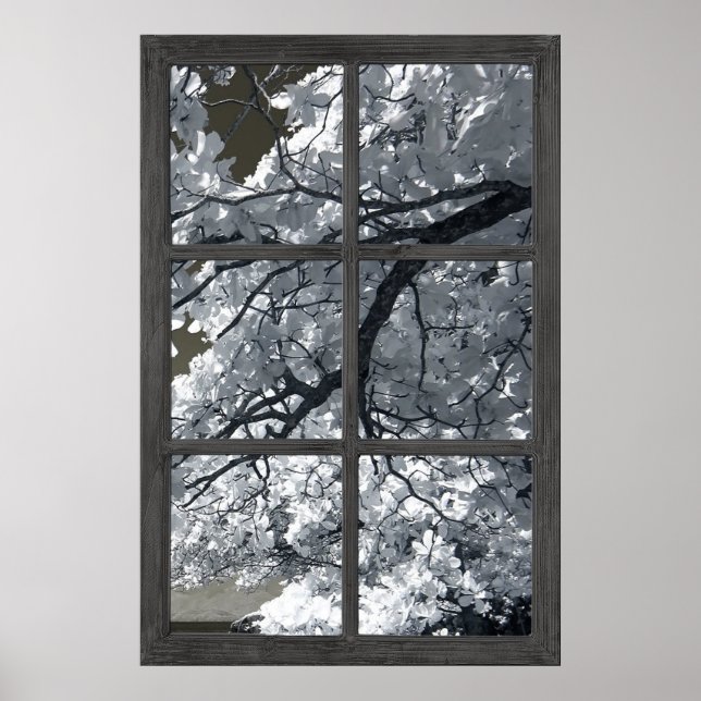 Poster Fausse illusion de fenêtre Fleurs blanches (Devant)
