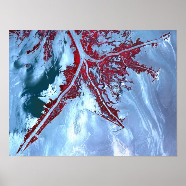 Poster Faux satellite (Devant)