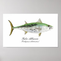 Faux thon d'albacore