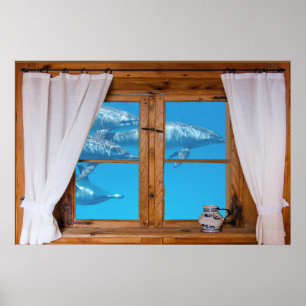 Poster Faux Window View Underwater Dolphins Ocean Fun