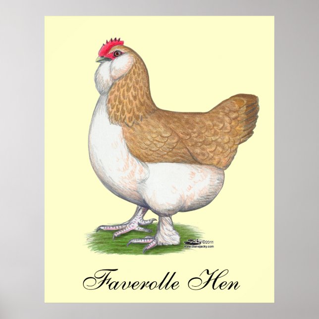 Poster Faverolle Hen (Devant)