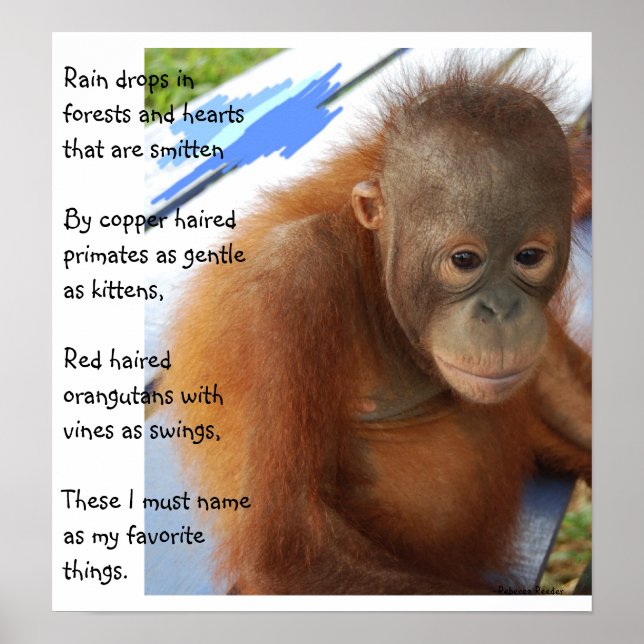 Poster Favoris des animaux doux (Devant)