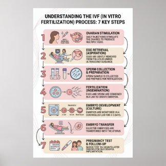 Poster Fécondation In Vitro (FIV) Processus Expliqué : 7