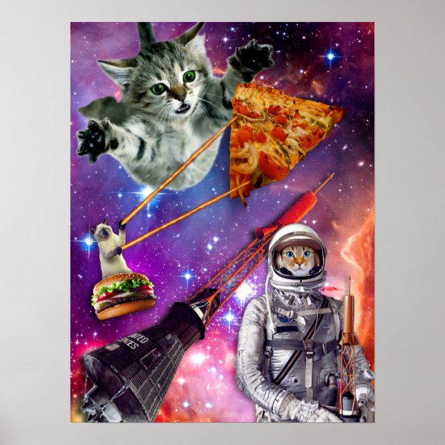Poster Fédération spatiale Cat (Devant)