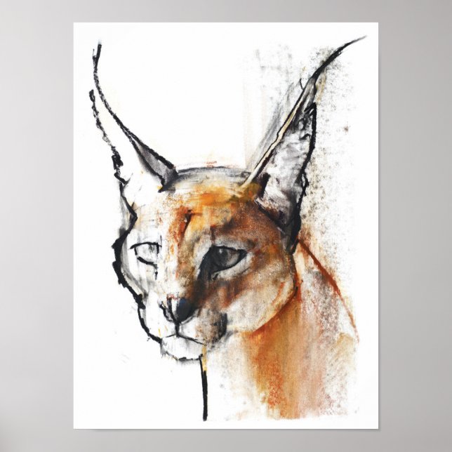 Poster Feline (Devant)