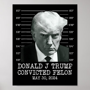 Poster Felon Donald Trump Coupable De Le Verrouiller Dans