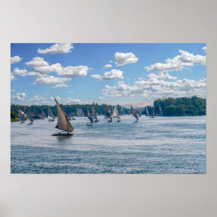 Poster Feluccas naviguant le long du Nil - Assouan, Égypt