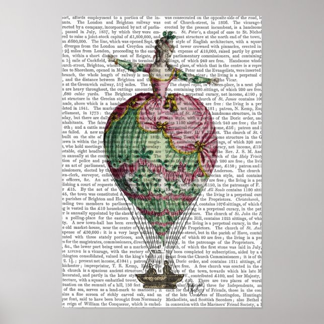 Poster Femme de ballon à air chaud (Devant)